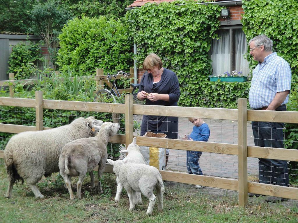 B&B De Passerel Bree Eksteriør billede