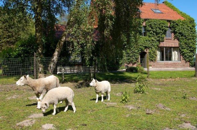 B&B De Passerel Bree Eksteriør billede